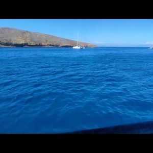 Meet your Posher, Sameena